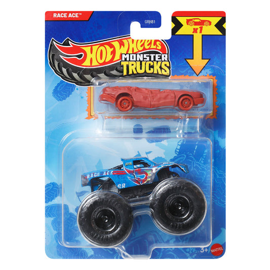 Hot Wheels Monster Trucks Metal Monster S Race Ace (GRH81)